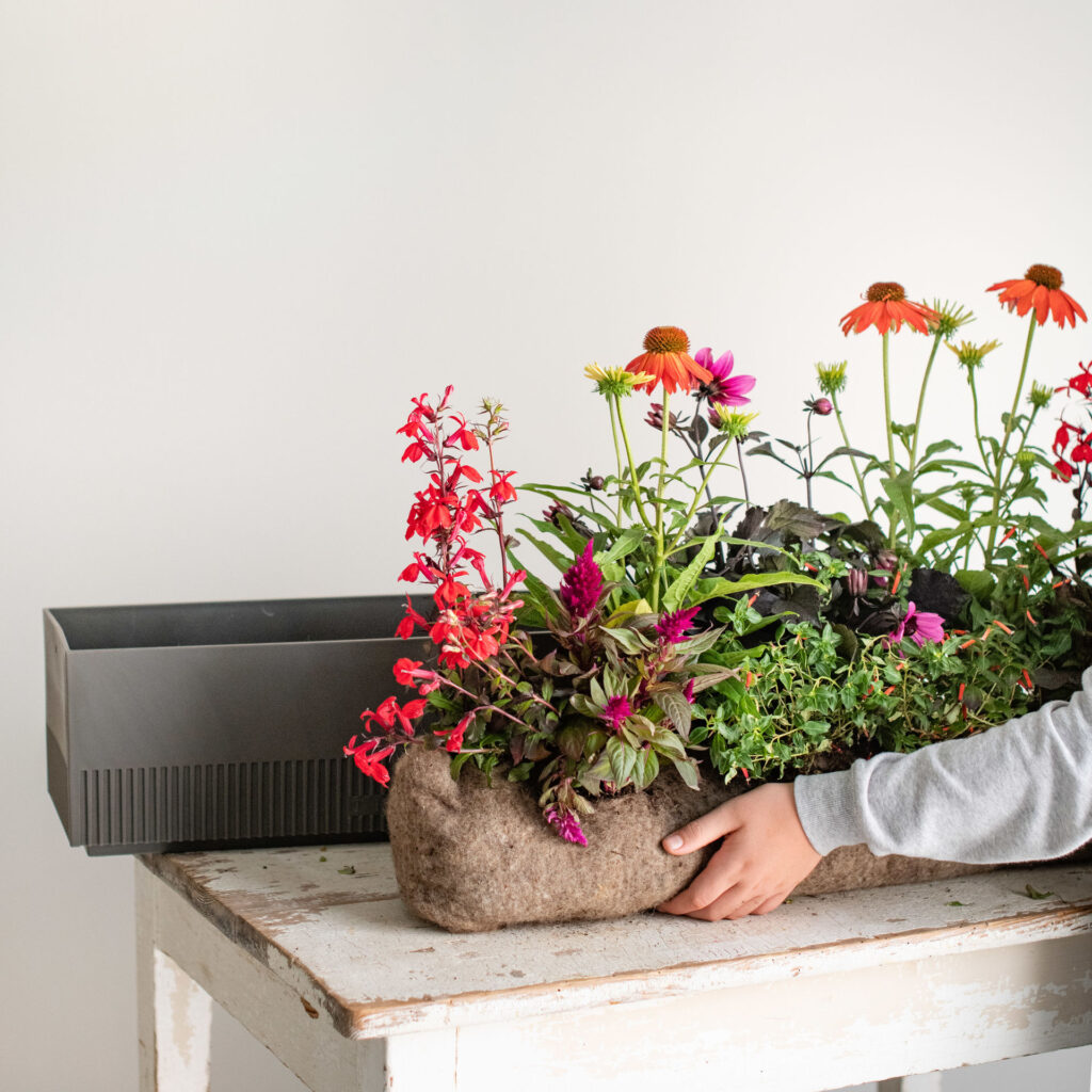 The Plant Box goes Europe - Hansmann PR